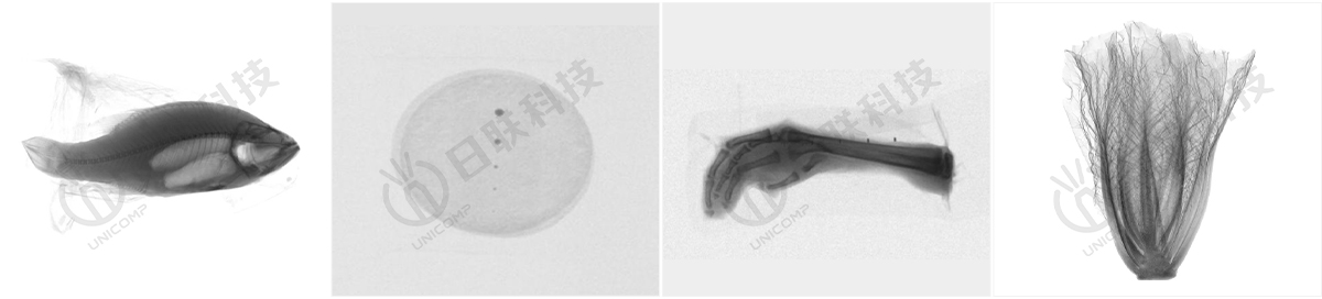 X-ray異物檢測圖-日聯(lián)